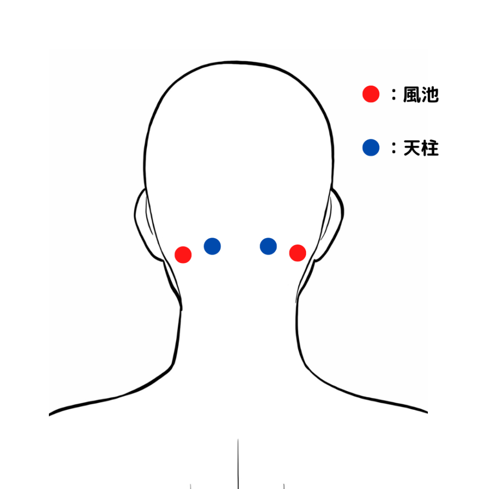 ツボ：天柱と風池